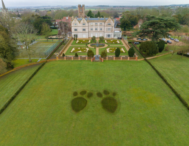 a field with giant lawn art