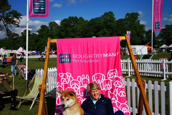 A dog and a man sat on a chair