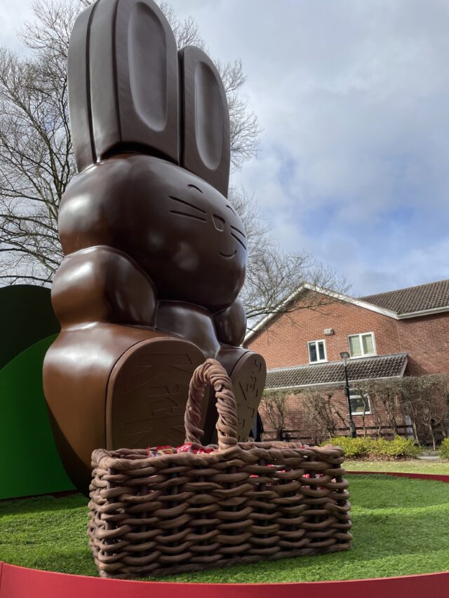 a giant chocolate kit kat bunny