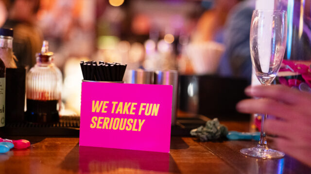 We Take Fun Seriously! Performer party time at Ministry Of Fun.